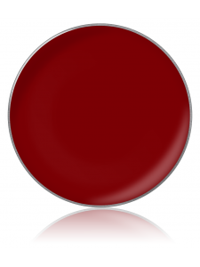 Lip gloss color №29 (lip gloss in refills), diam. 26 cm, KODI